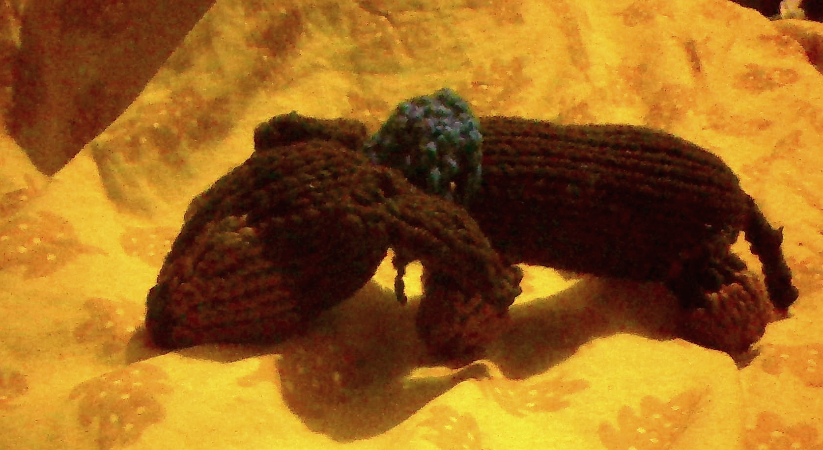 a droopy knitted light and dark brown dachshund teddy with a knitted bandada around its neck.